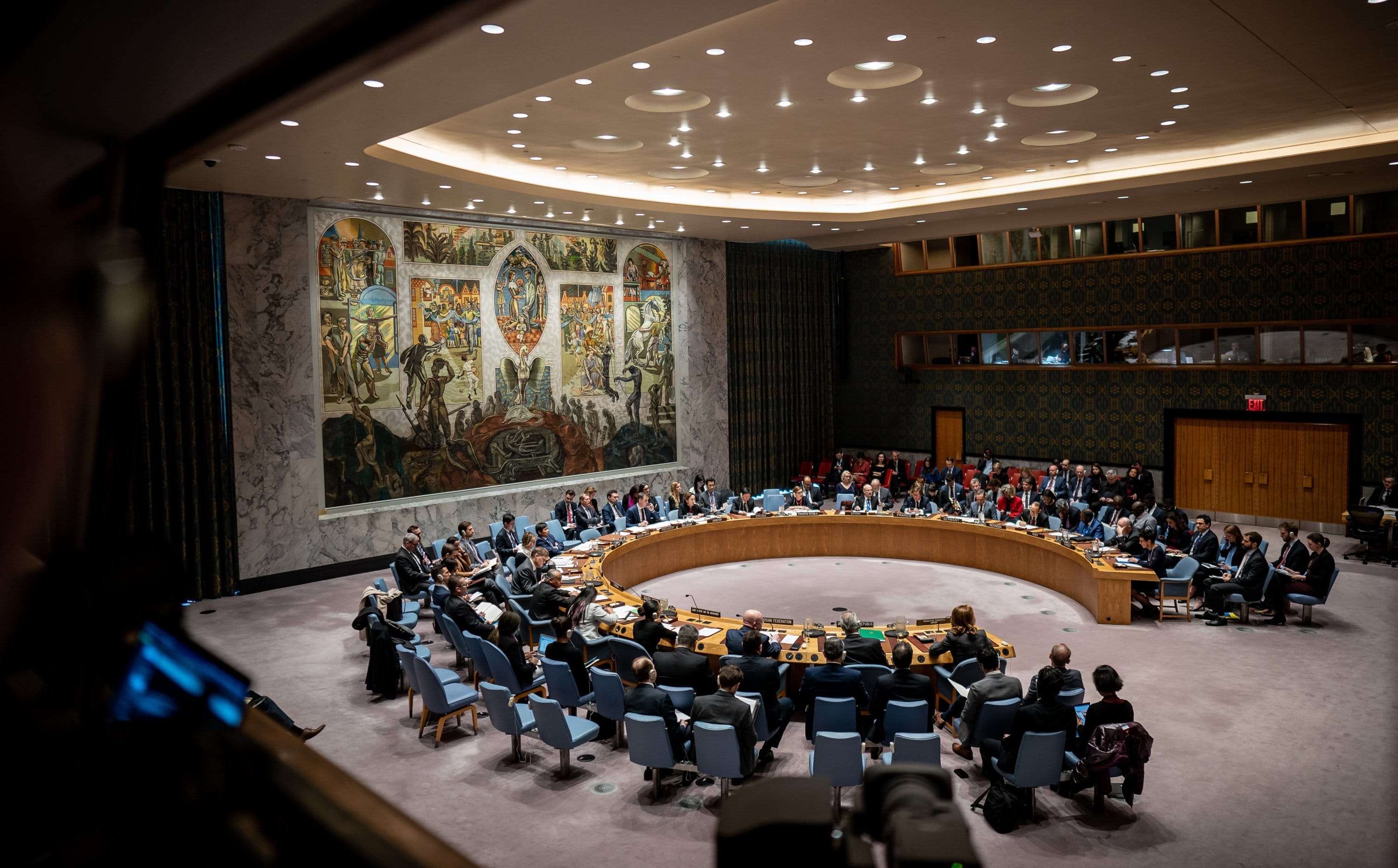 United Nations Security Council